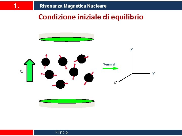 1. Risonanza Magnetica Nucleare Condizione iniziale di equilibrio Z’ Sommati B 0 Y’ X’