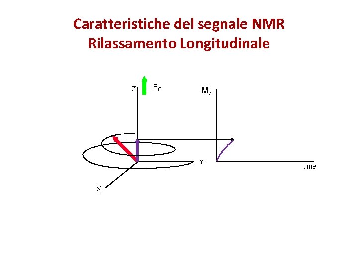 Caratteristiche del segnale NMR Rilassamento Longitudinale Z Bo Mz Y X time 