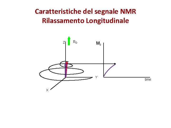 Caratteristiche del segnale NMR Rilassamento Longitudinale Z Bo Mz Y X time 