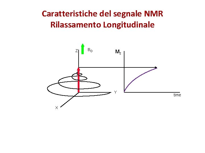 Caratteristiche del segnale NMR Rilassamento Longitudinale Z Bo Mz Y X time 