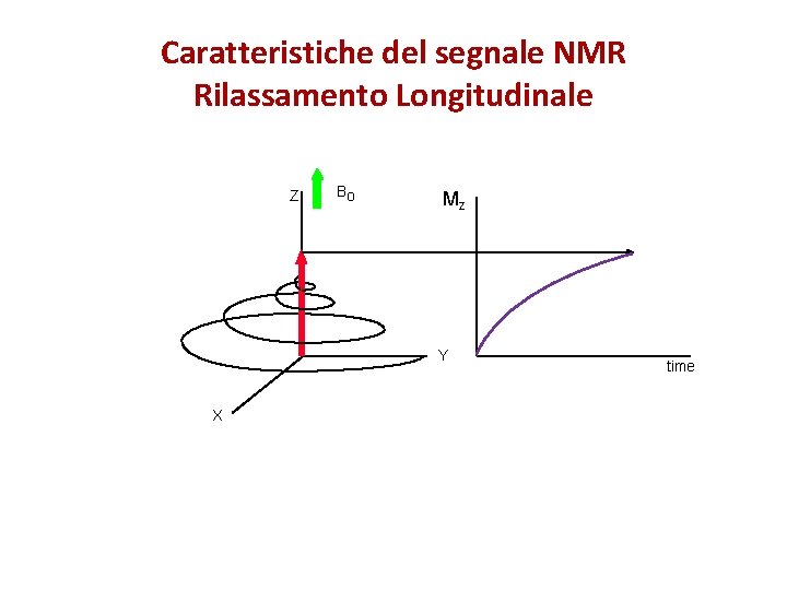 Caratteristiche del segnale NMR Rilassamento Longitudinale Z Bo Mz Y X time 