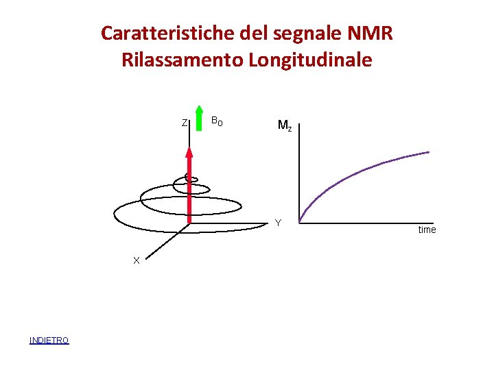 Caratteristiche del segnale NMR Rilassamento Longitudinale Z Bo Mz Y X INDIETRO time 