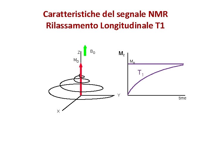 Caratteristiche del segnale NMR Rilassamento Longitudinale T 1 Z Bo Mz Mo M 0