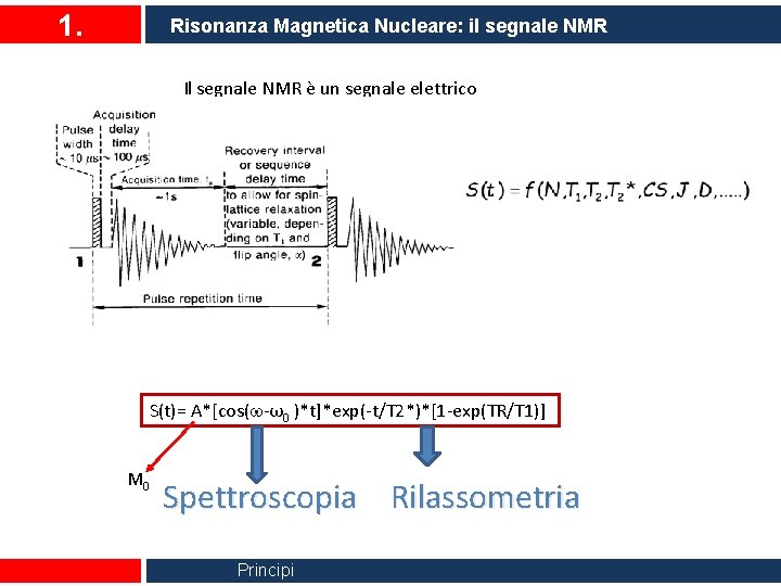 1. Risonanza Magnetica Nucleare: il segnale NMR Il segnale NMR è un segnale elettrico