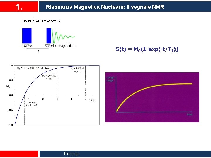 1. Risonanza Magnetica Nucleare: il segnale NMR Inversion recovery S(t) = M 0(1 -exp(-t/T