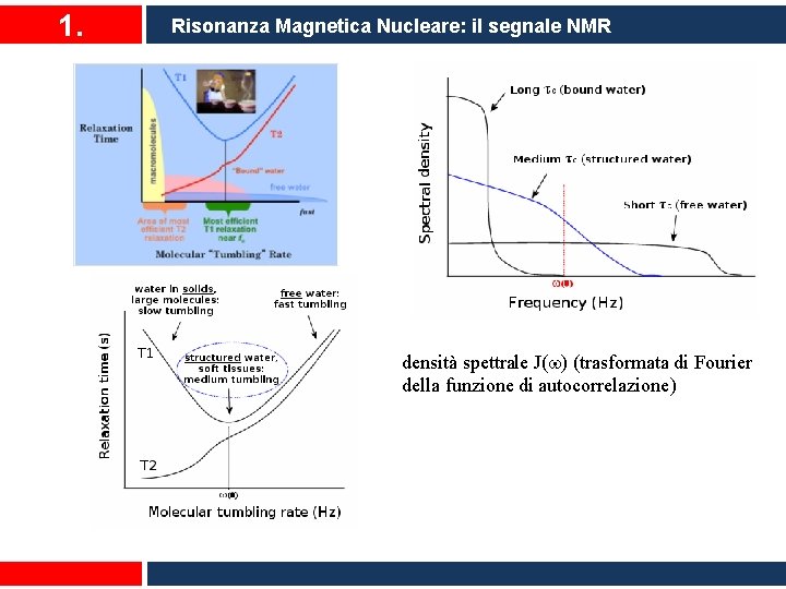 1. Risonanza Magnetica Nucleare: il segnale NMR densità spettrale J( ) (trasformata di Fourier