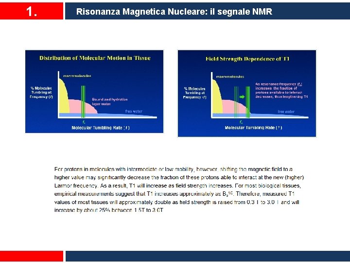 1. Risonanza Magnetica Nucleare: il segnale NMR 