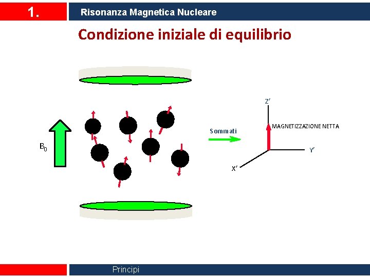 1. Risonanza Magnetica Nucleare Condizione iniziale di equilibrio Z’ Sommati B 0 MAGNETIZZAZIONE NETTA