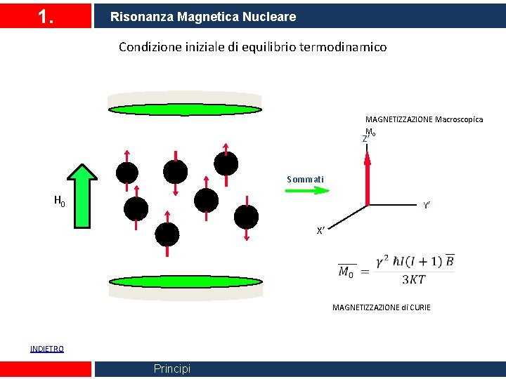 1. Risonanza Magnetica Nucleare Condizione iniziale di equilibrio termodinamico MAGNETIZZAZIONE Macroscopica M 0 Z’