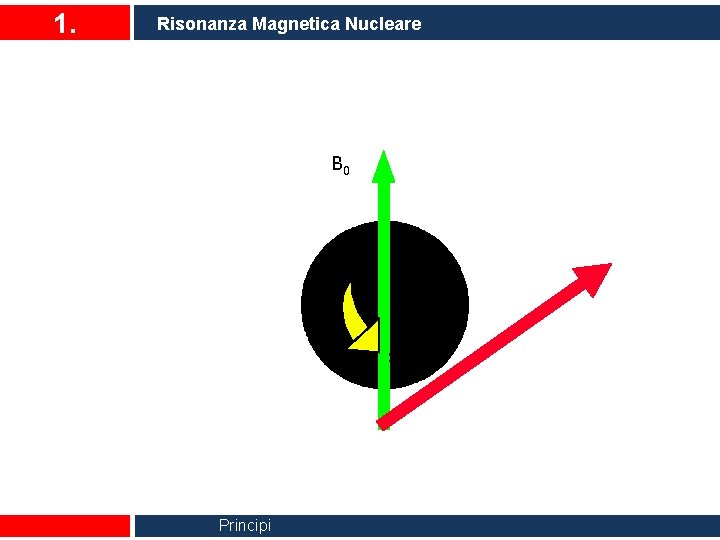 1. Risonanza Magnetica Nucleare B 0 spin Principi 