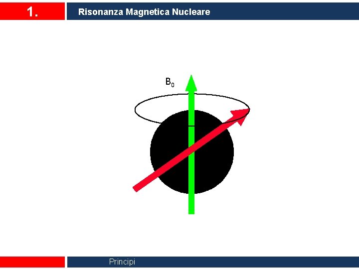 1. Risonanza Magnetica Nucleare B 0 Principi 