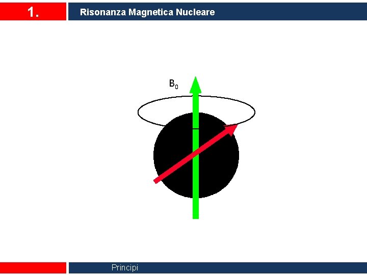 1. Risonanza Magnetica Nucleare B 0 Principi 