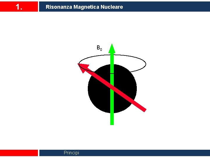 1. Risonanza Magnetica Nucleare B 0 Principi 