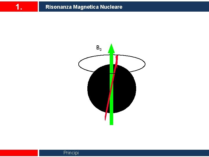 1. Risonanza Magnetica Nucleare B 0 Principi 