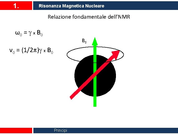 1. Risonanza Magnetica Nucleare Relazione fondamentale dell’NMR ω0 = x B 0 ν 0