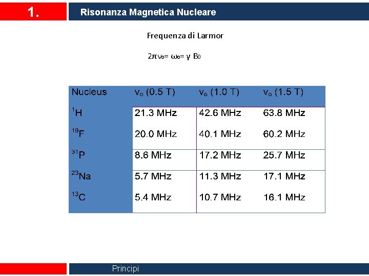 1. Risonanza Magnetica Nucleare Frequenza di Larmor 2πν 0= ω0= γ B 0 Principi