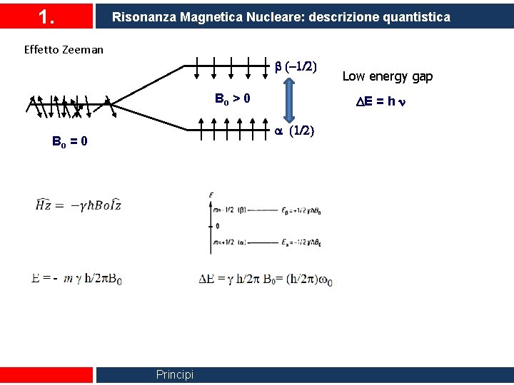 1. Risonanza Magnetica Nucleare: descrizione quantistica Effetto Zeeman b (-1/2) Bo > 0 DE