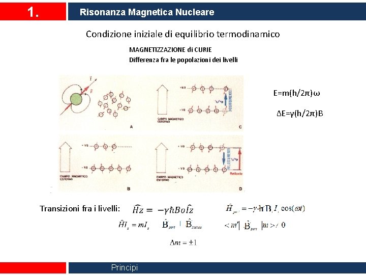 1. Risonanza Magnetica Nucleare Condizione iniziale di equilibrio termodinamico MAGNETIZZAZIONE di CURIE Differenza fra