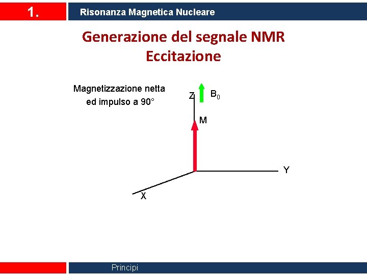 1. Risonanza Magnetica Nucleare Generazione del segnale NMR Eccitazione Magnetizzazione netta ed impulso a