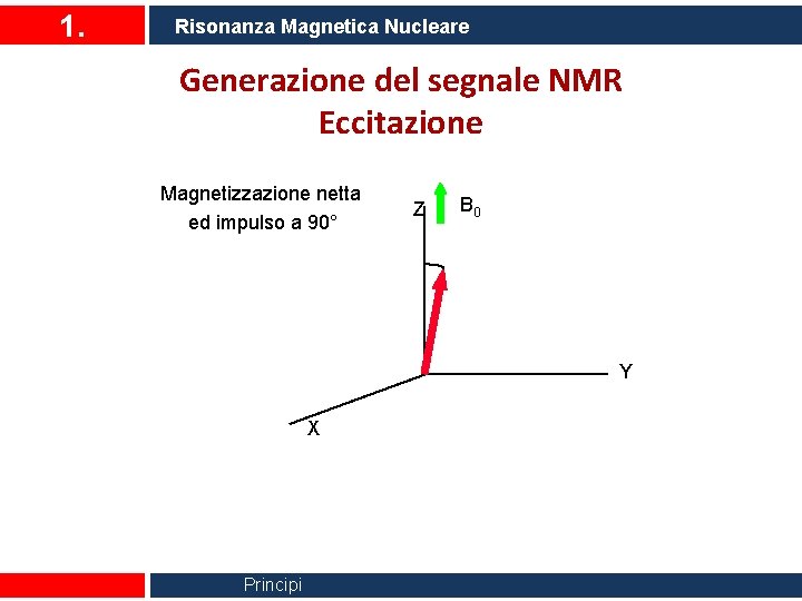 1. Risonanza Magnetica Nucleare Generazione del segnale NMR Eccitazione Magnetizzazione netta ed impulso a