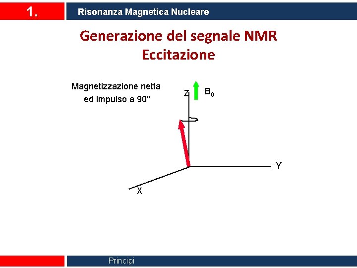 1. Risonanza Magnetica Nucleare Generazione del segnale NMR Eccitazione Magnetizzazione netta ed impulso a