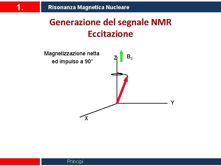 1. Risonanza Magnetica Nucleare Generazione del segnale NMR Eccitazione Magnetizzazione netta ed impulso a