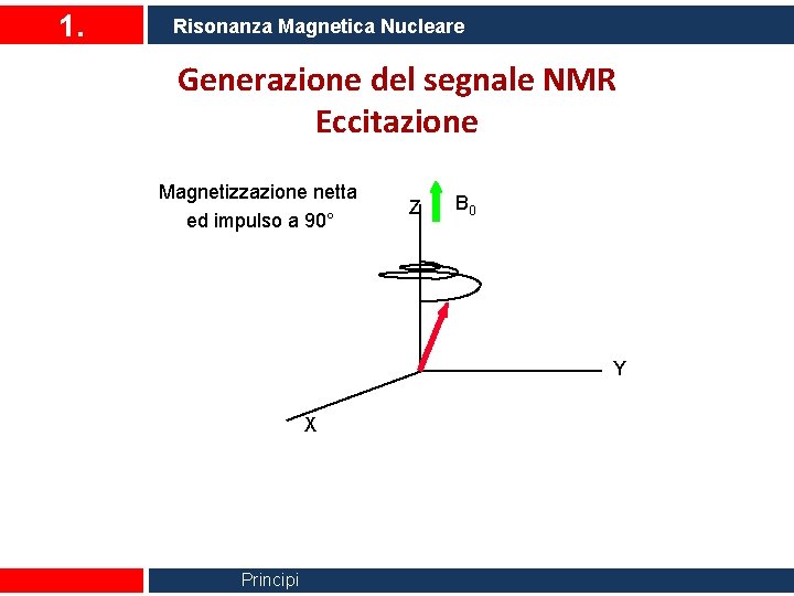 1. Risonanza Magnetica Nucleare Generazione del segnale NMR Eccitazione Magnetizzazione netta ed impulso a