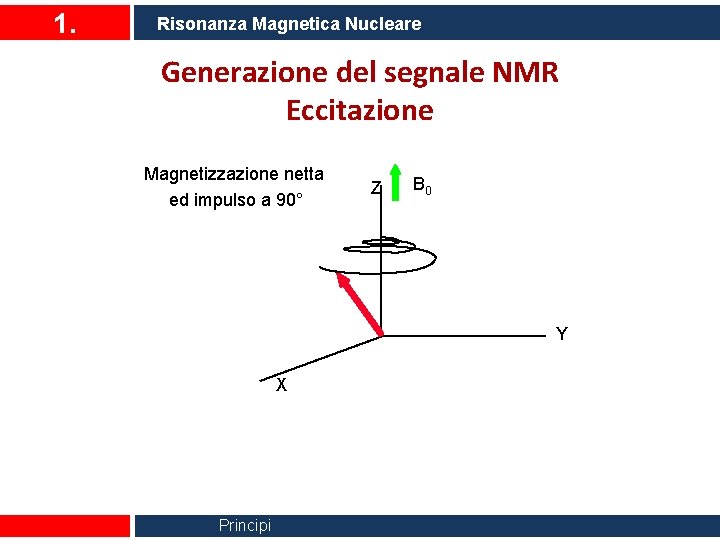 1. Risonanza Magnetica Nucleare Generazione del segnale NMR Eccitazione Magnetizzazione netta ed impulso a