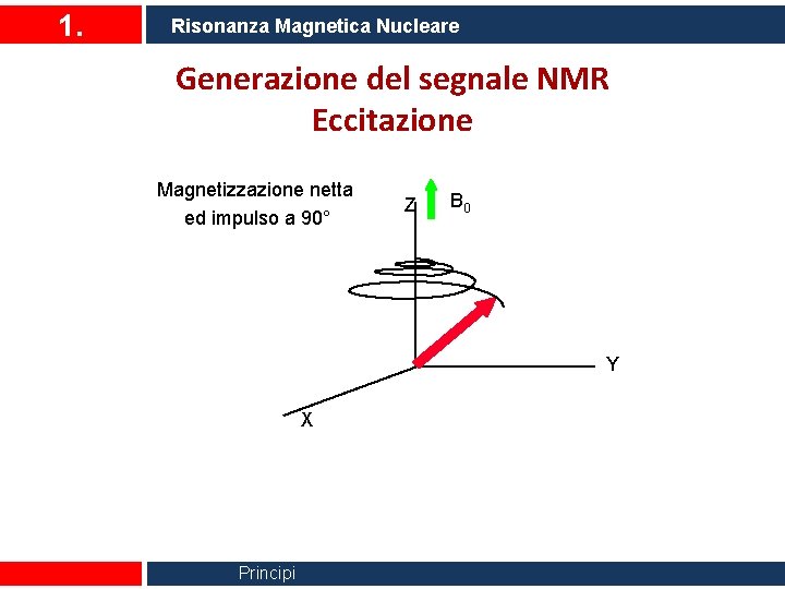 1. Risonanza Magnetica Nucleare Generazione del segnale NMR Eccitazione Magnetizzazione netta ed impulso a