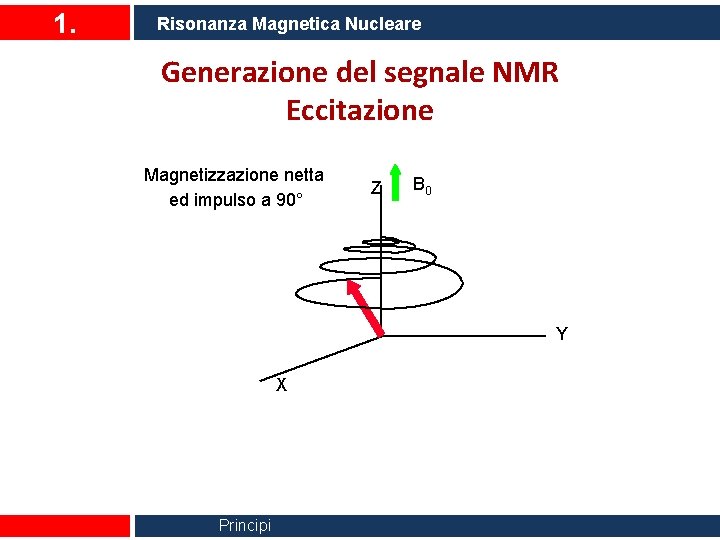 1. Risonanza Magnetica Nucleare Generazione del segnale NMR Eccitazione Magnetizzazione netta ed impulso a