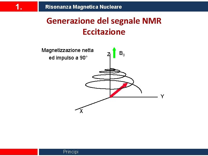 1. Risonanza Magnetica Nucleare Generazione del segnale NMR Eccitazione Magnetizzazione netta ed impulso a