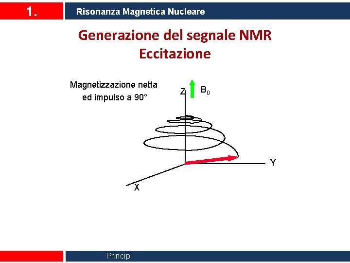 1. Risonanza Magnetica Nucleare Generazione del segnale NMR Eccitazione Magnetizzazione netta ed impulso a