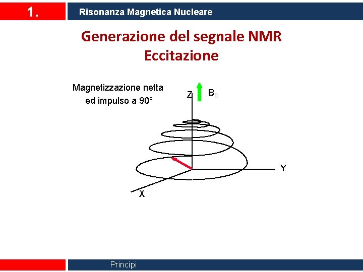 1. Risonanza Magnetica Nucleare Generazione del segnale NMR Eccitazione Magnetizzazione netta ed impulso a