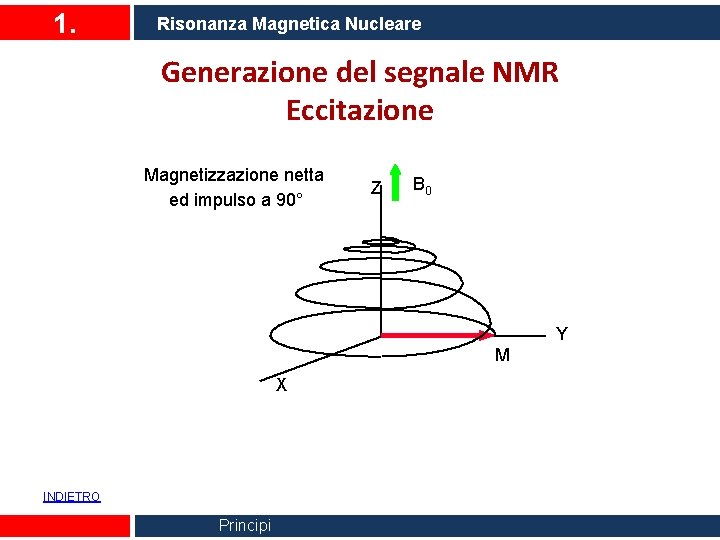 1. Risonanza Magnetica Nucleare Generazione del segnale NMR Eccitazione Magnetizzazione netta ed impulso a