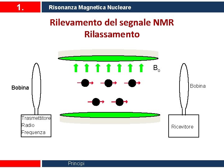 1. Risonanza Magnetica Nucleare Rilevamento del segnale NMR Rilassamento Bo Bobina Trasmettitore Radio Frequenza