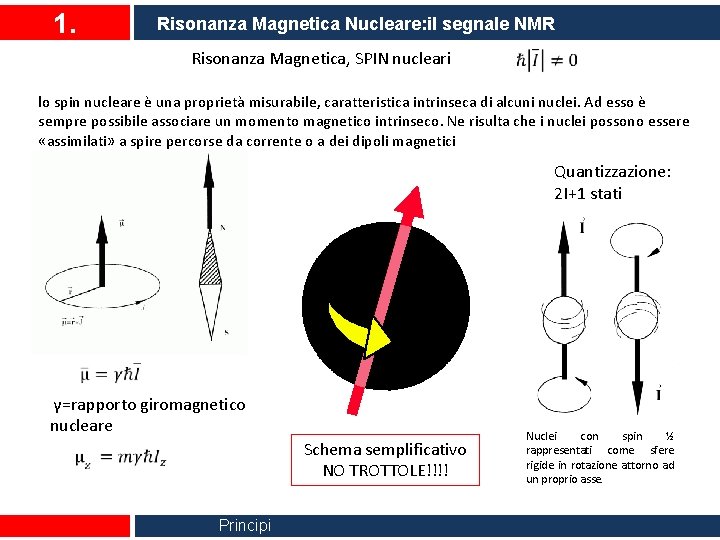 1. Risonanza Magnetica Nucleare: il segnale NMR Risonanza Magnetica, SPIN nucleari lo spin nucleare