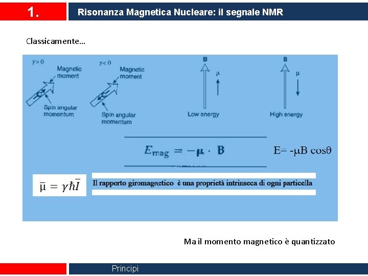 1. Risonanza Magnetica Nucleare: il segnale NMR Classicamente… Ma il momento magnetico è quantizzato