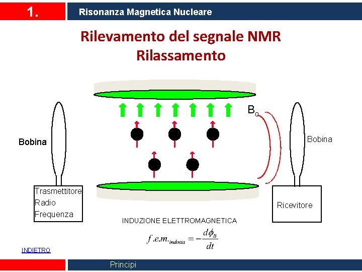 1. Risonanza Magnetica Nucleare Rilevamento del segnale NMR Rilassamento Bo Bobina Trasmettitore Radio Frequenza