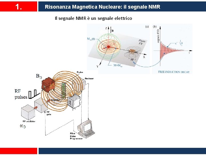 1. Risonanza Magnetica Nucleare: il segnale NMR Il segnale NMR è un segnale elettrico