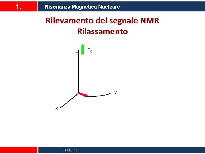 1. Risonanza Magnetica Nucleare Rilevamento del segnale NMR Rilassamento Z Bo Y X Principi