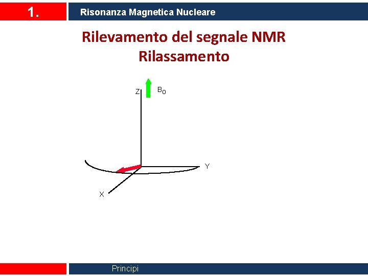 1. Risonanza Magnetica Nucleare Rilevamento del segnale NMR Rilassamento Z Bo Y X Principi