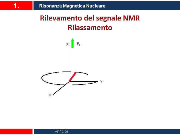 1. Risonanza Magnetica Nucleare Rilevamento del segnale NMR Rilassamento Z Bo Y X Principi