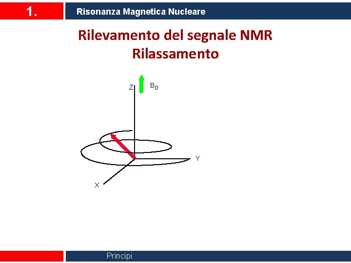 1. Risonanza Magnetica Nucleare Rilevamento del segnale NMR Rilassamento Z Bo Y X Principi