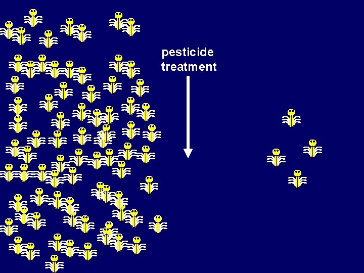 pesticide treatment 