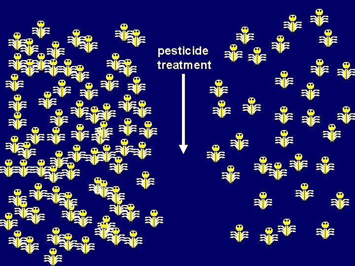 pesticide treatment 