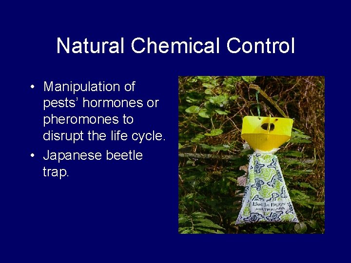 Natural Chemical Control • Manipulation of pests’ hormones or pheromones to disrupt the life