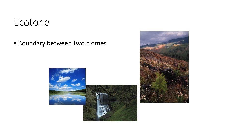 Ecotone • Boundary between two biomes 