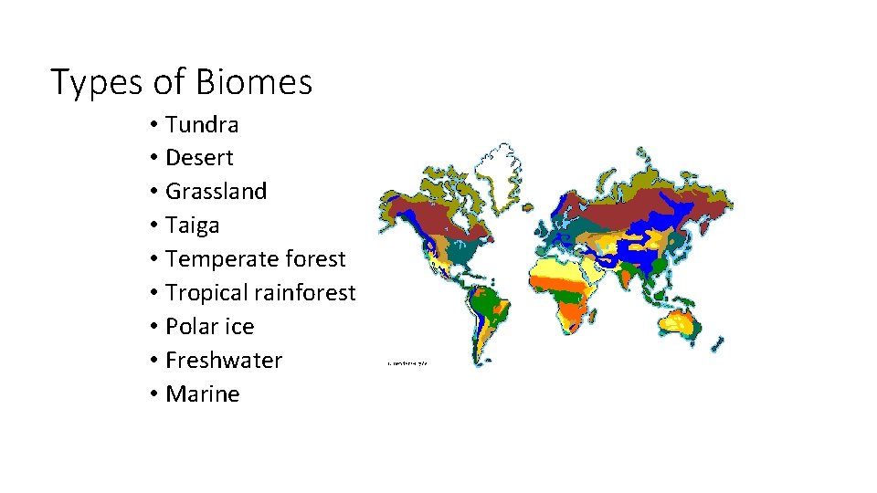 Types of Biomes • Tundra • Desert • Grassland • Taiga • Temperate forest