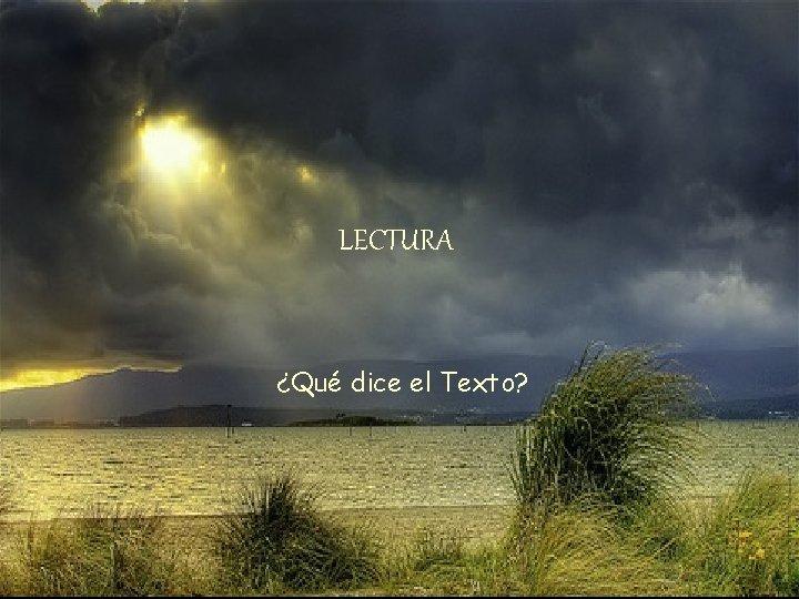 LECTURA ¿Qué dice el Texto? 