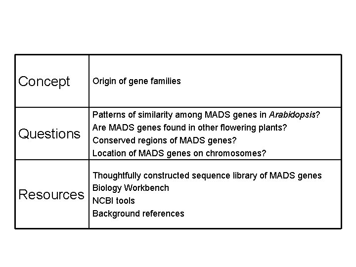 Concept Origin of gene families Questions Patterns of similarity among MADS genes in Arabidopsis?